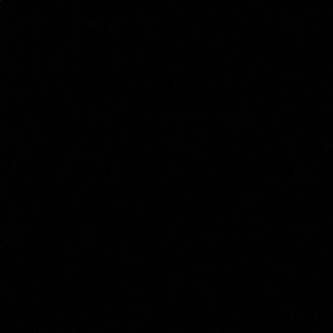 Meet your Posher, Kylee